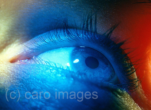 0SH041221D002CARO.JPG