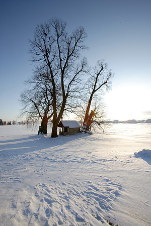 0SH050120D001CARO.JPG