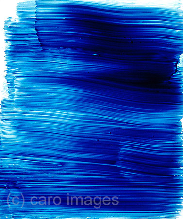0SH050228D054CARO.JPG