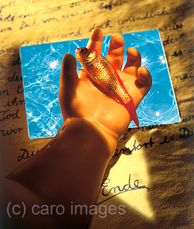 0SH050301D007CARO.JPG