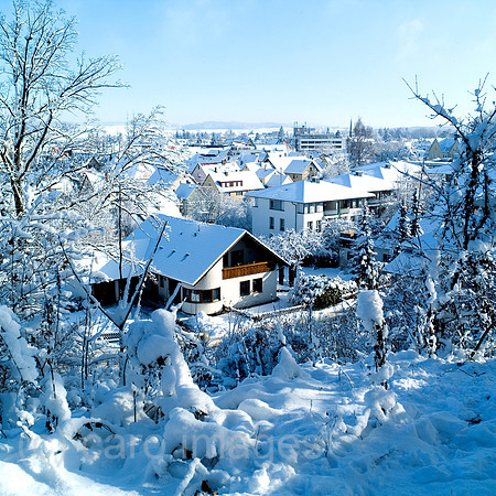 0SH050123D001CARO.JPG