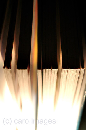0SH050227D033CARO.JPG