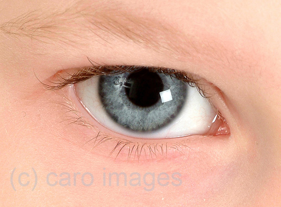 0SH050301D050CARO.JPG