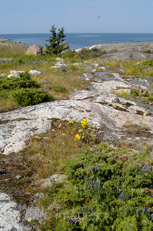 0SH040813D047CARO.JPG
