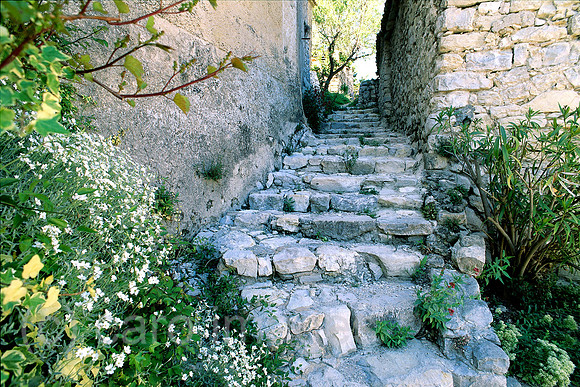 0SH050226D028CARO.JPG