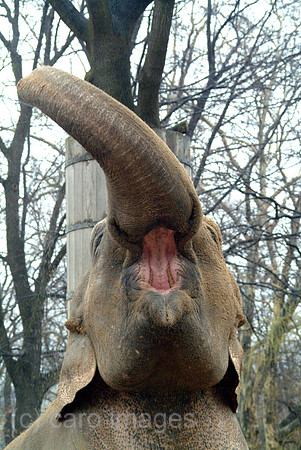 0SH050215D004CARO.JPG