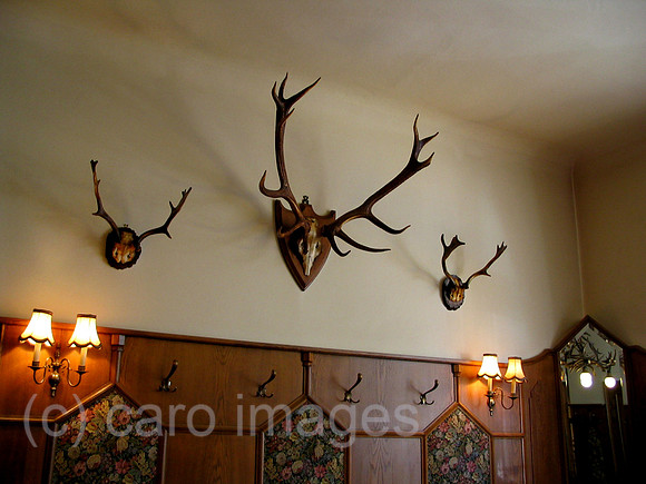 0SH050123D008CARO.JPG