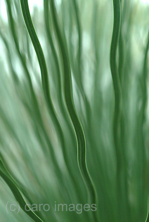 0SH041221D009CARO.JPG