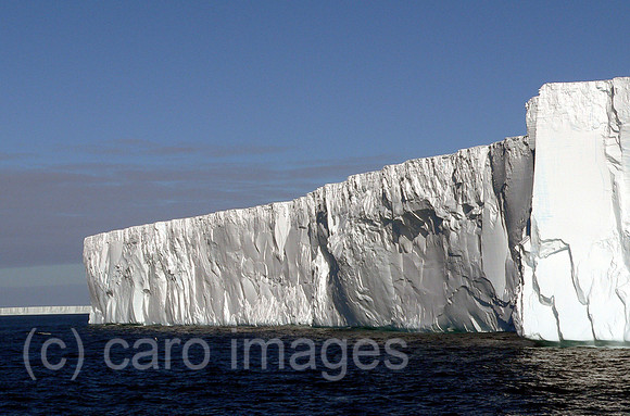 0SH050203D017CARO.JPG