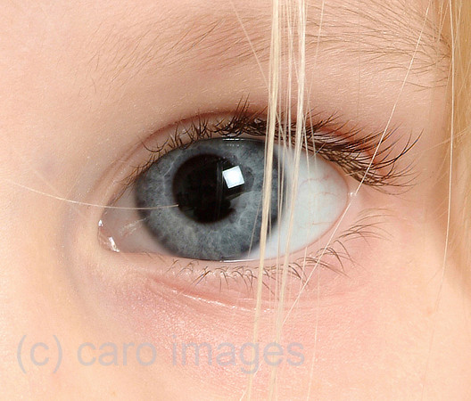 0SH050301D046CARO.JPG