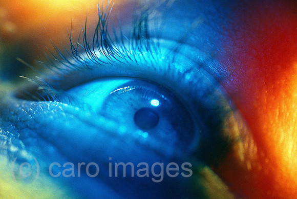 0SH041221D003CARO.JPG