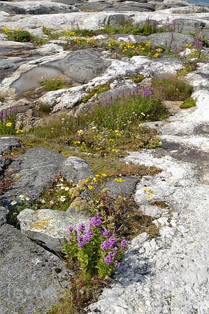 0SH040813D048CARO.JPG