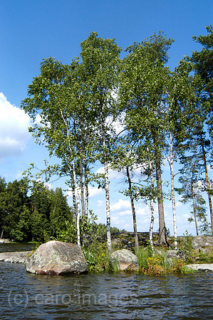 0SH050225D012CARO.JPG