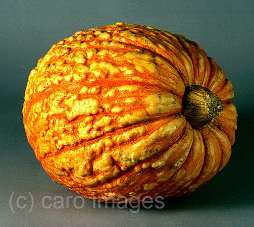 0SH050301D018CARO.JPG