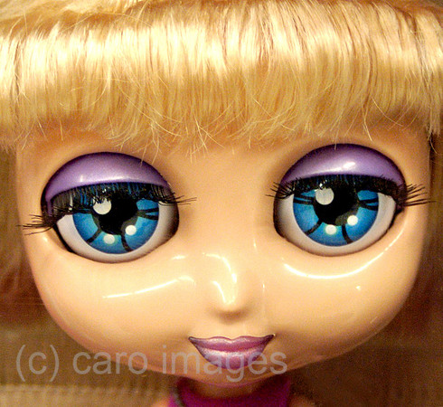 0SH050301D009CARO.JPG