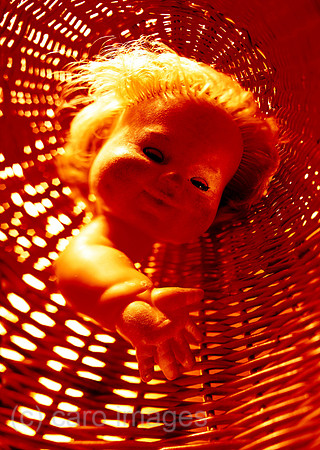 0SH050301D008CARO.JPG