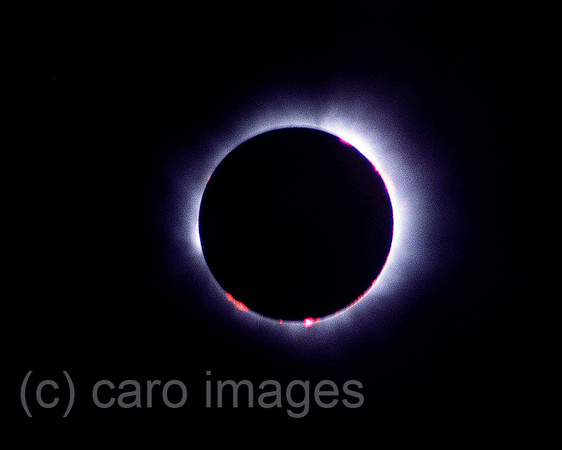 0SH050301D006CARO.JPG