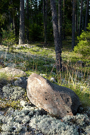 0SH050225D014CARO.JPG