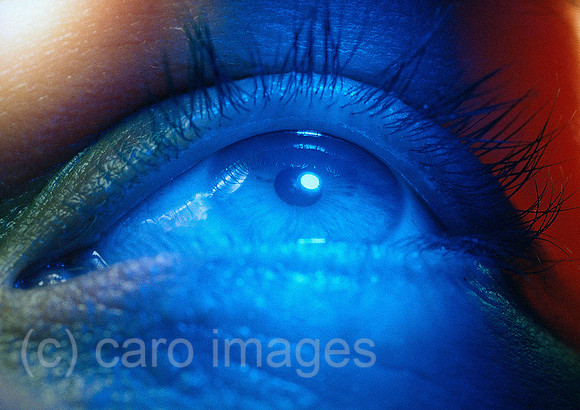 0SH041221D001CARO.JPG
