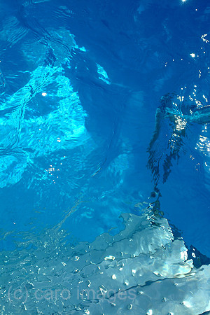 0SH050222D005CARO.JPG