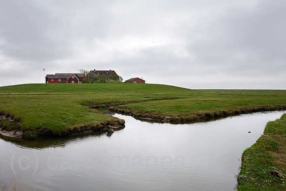 00P100524D060CAROE.JPG