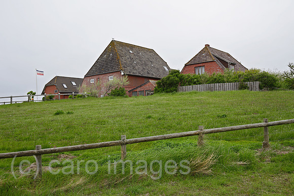 00P100524D062CAROE.JPG
