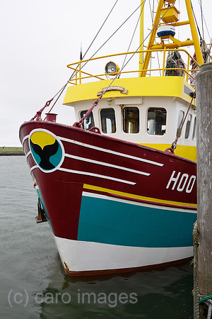 00P100524D068CAROE.JPG