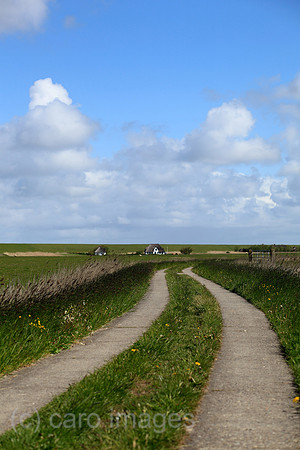 00P100525D106CAROE.JPG