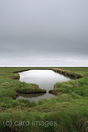 00P100524D050CAROE.JPG