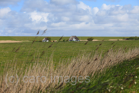00P100525D108CAROE.JPG