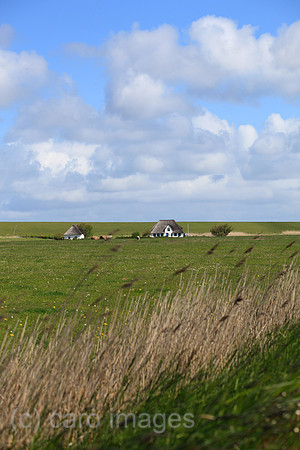 00P100525D109CAROE.JPG