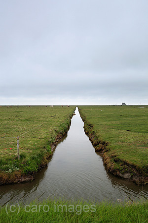 00P100524D056CAROE.JPG