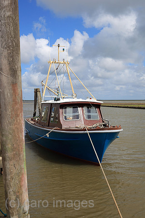 00P100525D113CAROE.JPG
