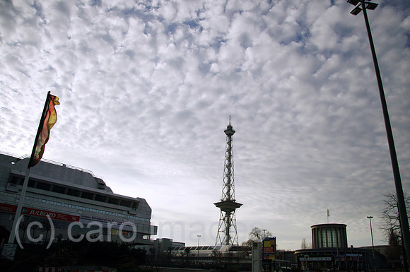 0GB061126D006CARO.JPG