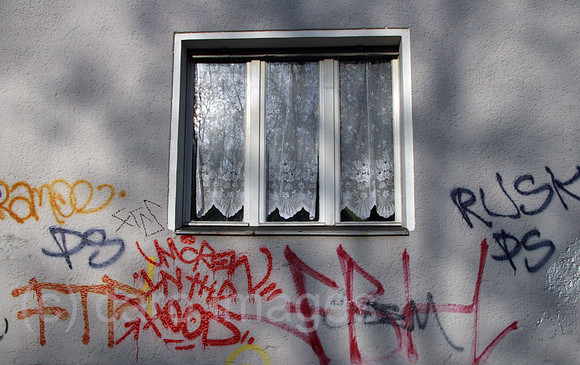 0GB061126D003CARO.JPG
