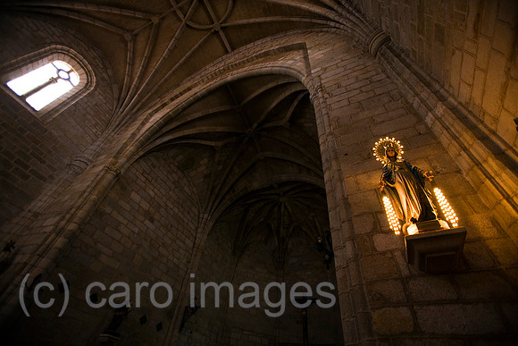 0FR080502D118CARO.JPG