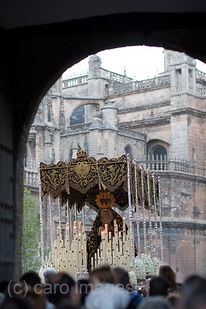 0FR080318D050CARO.JPG