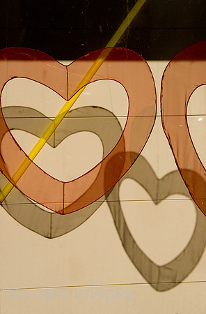 0GB070817D005CARO.JPG