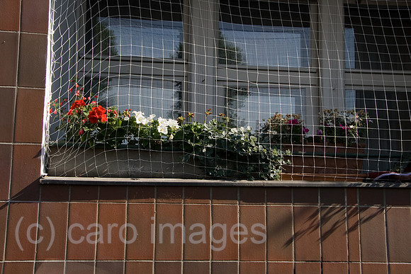 0GB070615D004CARO.JPG