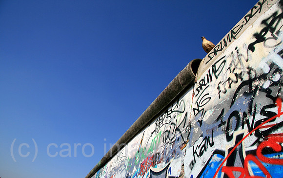 0GB070326D003CARO.JPG