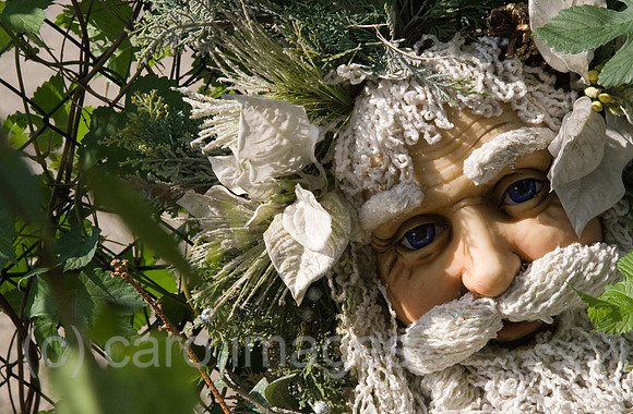 0GB070624D011CARO.JPG