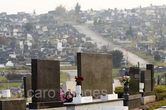 0KH061125D021CARO.JPG