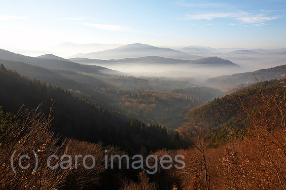 0KH061126D019CARO.JPG