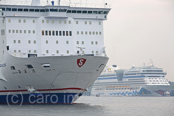 0KH070424D039CARO.JPG