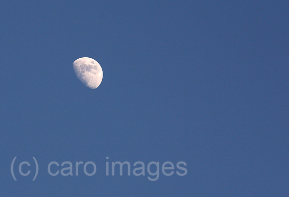 0KH070426D045CARO.JPG