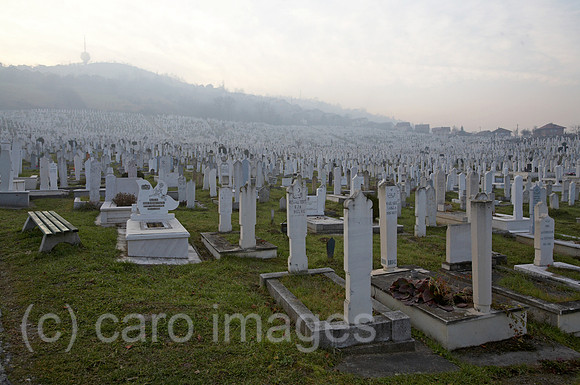 0KH061125D023CARO.JPG