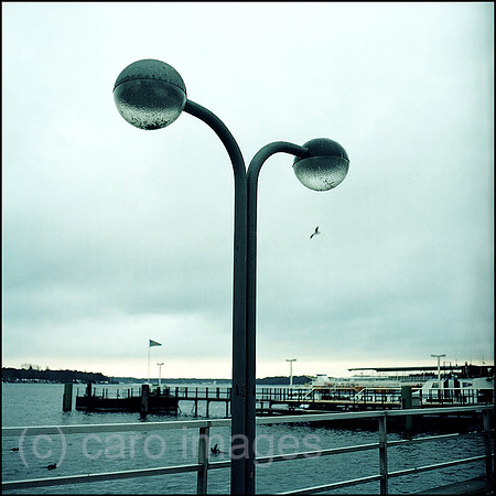 0MC0036601CARO.JPG