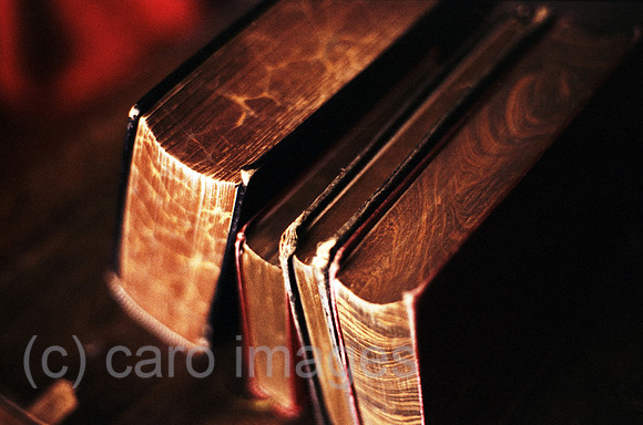 0MC0024415CARO.JPG