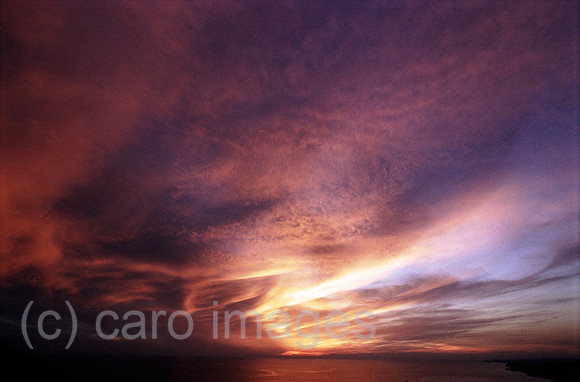 0MC0041421CARO.JPG