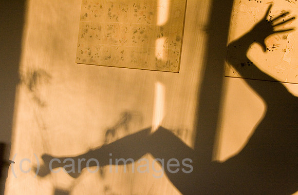 0GB071223D046CARO.JPG